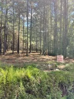 $35,000 | Tbd Williams Lake Road, Pineville, LA 71360
