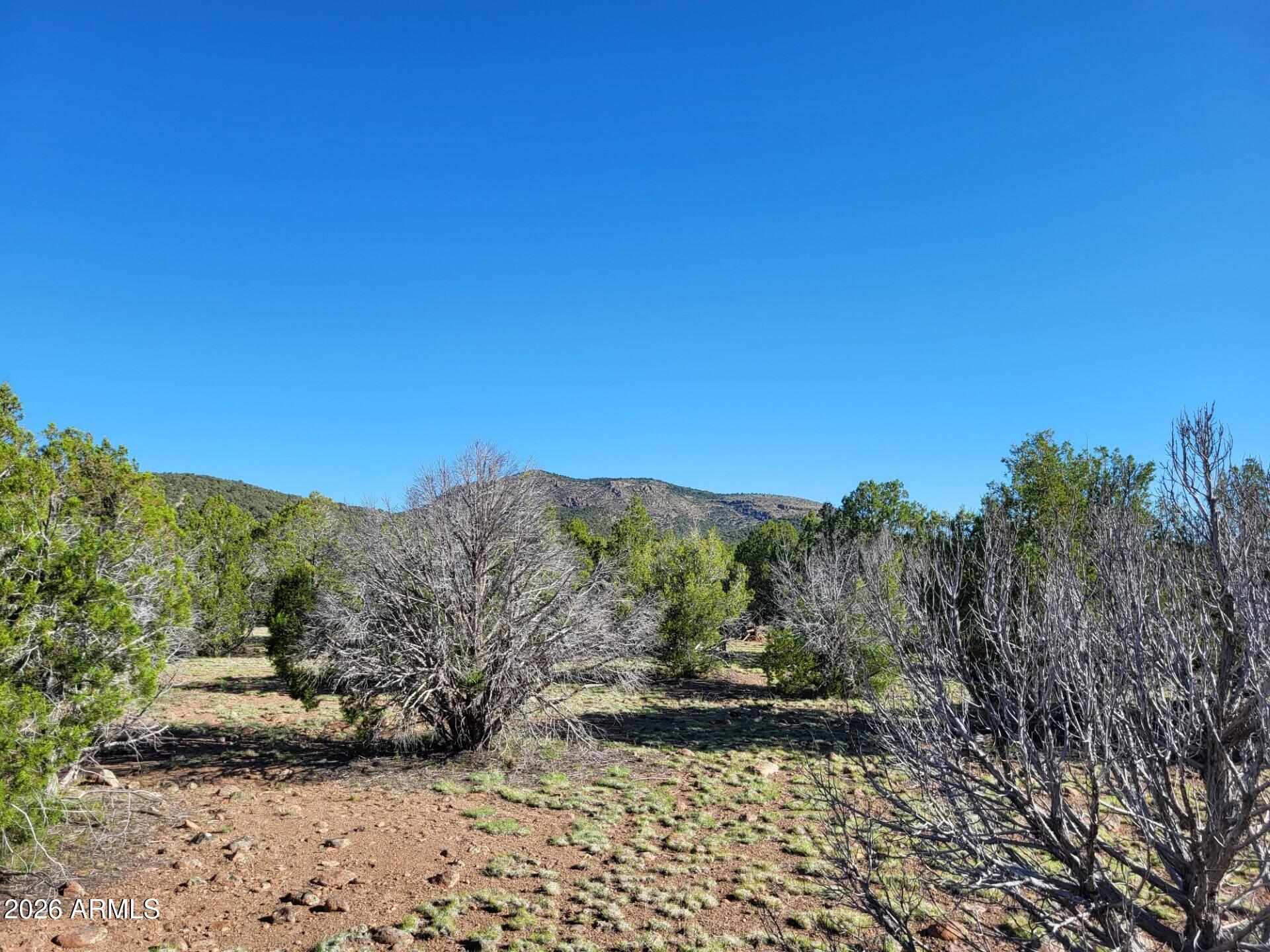 107 North A N Ranch Road, Unit 107A Williams, AZ 86046 - Photo 18 of 18