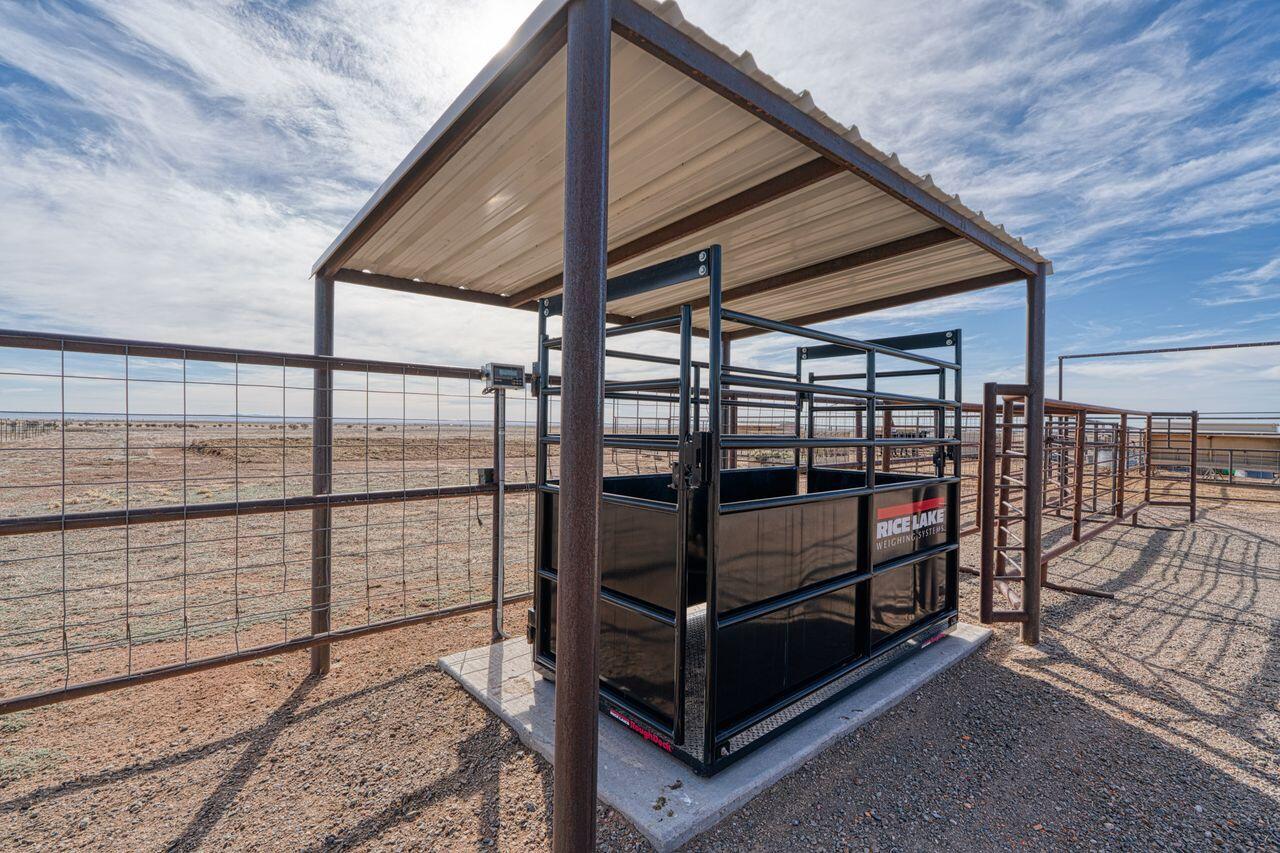99 Pauline Road McIntosh, NM 87032 - Photo 57 of 73 Gallery Image 57