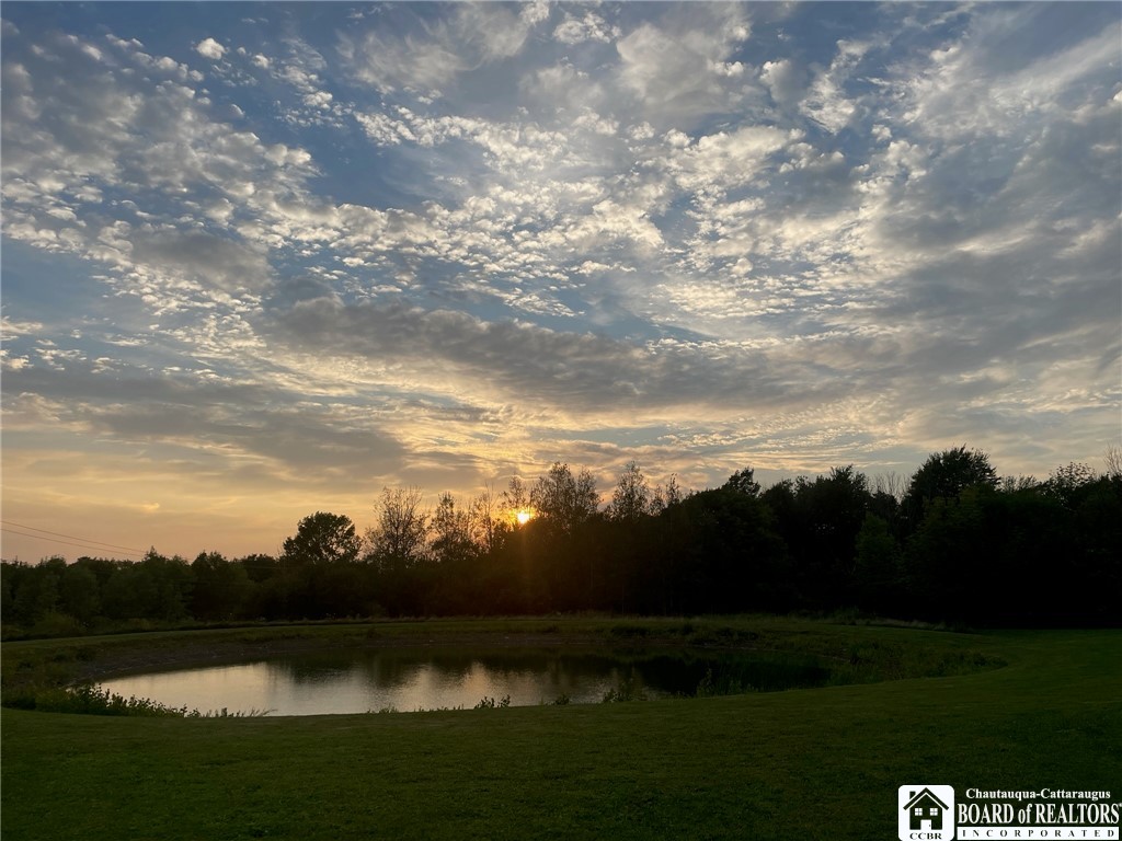 2628 Meadows Road Arkwright, NY 14718 - Photo 23 of 42