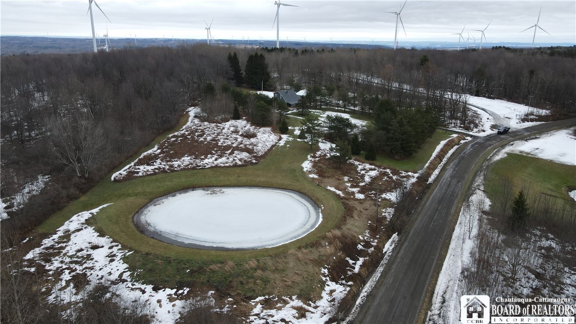 2628 Meadows Road Arkwright, NY 14718 - Photo 38 of 42