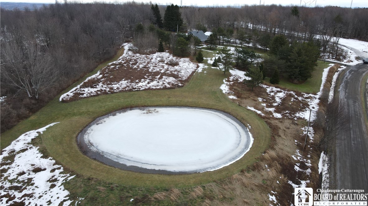 2628 Meadows Road Arkwright, NY 14718 - Photo 39 of 42