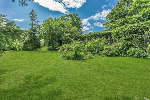 a view of a lush green space