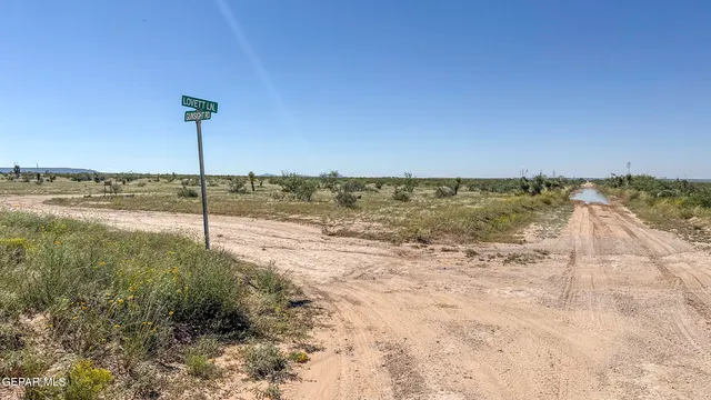 a view of a yard with wooden floor and a mountain view