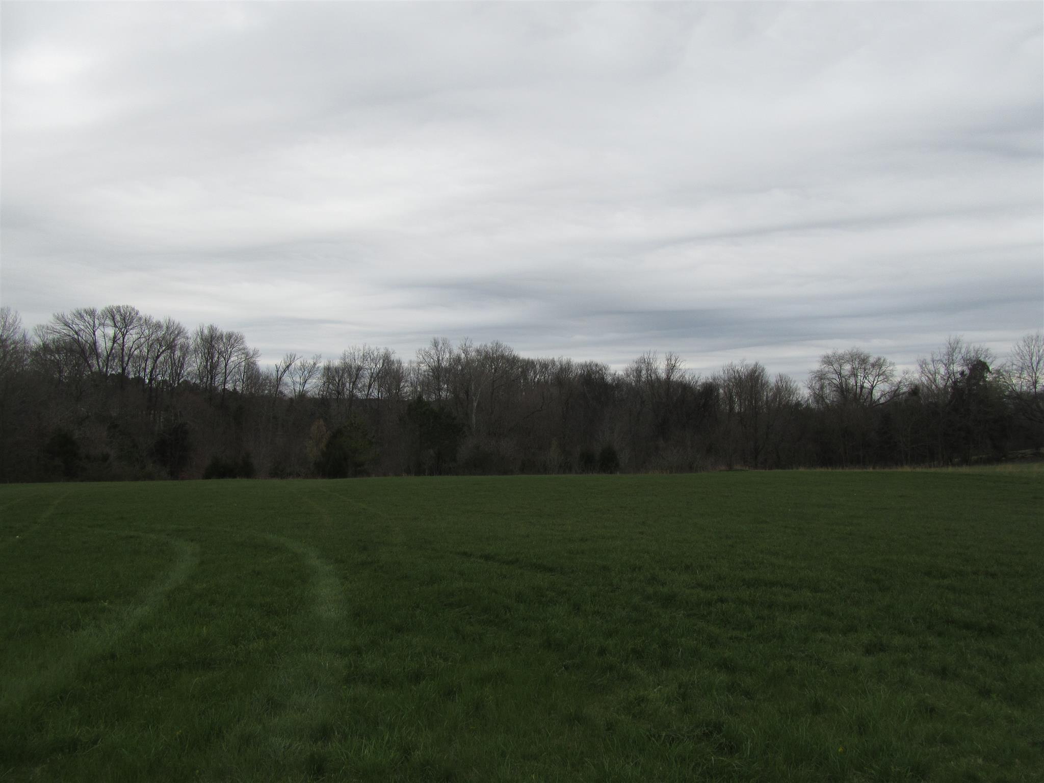 8481 Guthrie Road Cross Plains, TN 37049 - Photo 3 of 13