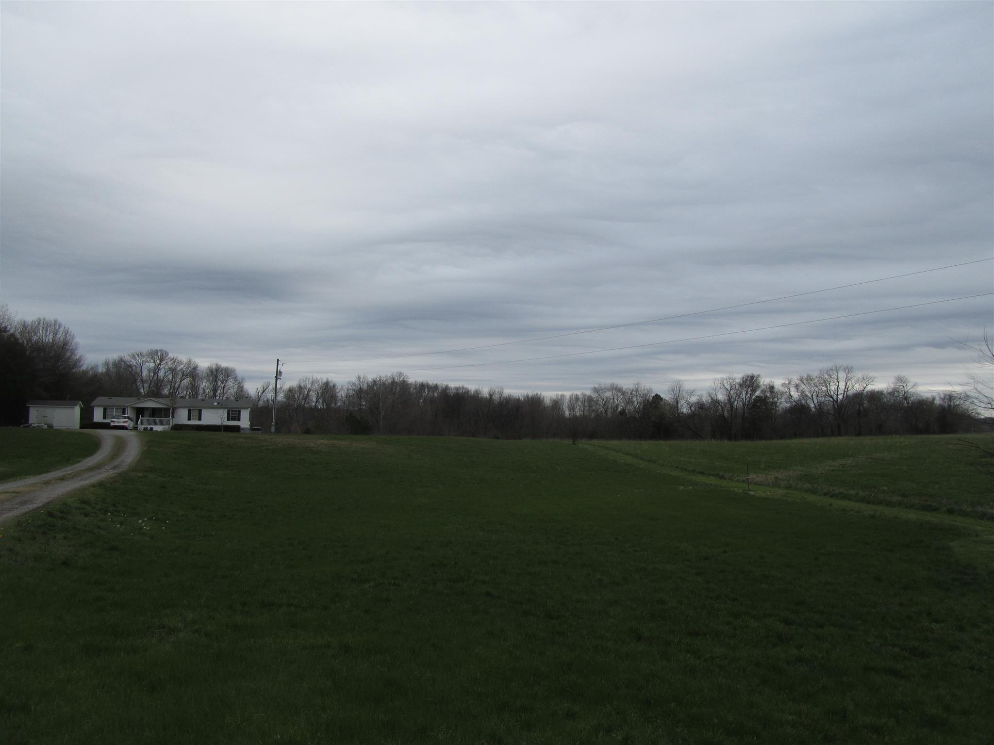 8481 Guthrie Road Cross Plains, TN 37049 - Photo 4 of 13 Level open 6.45 acre lot