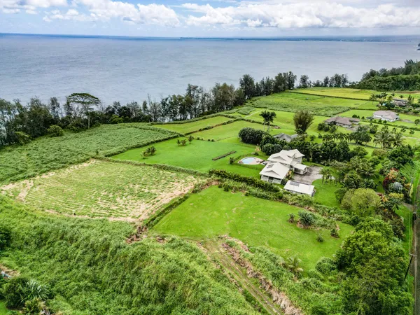 a view of a garden with an ocean