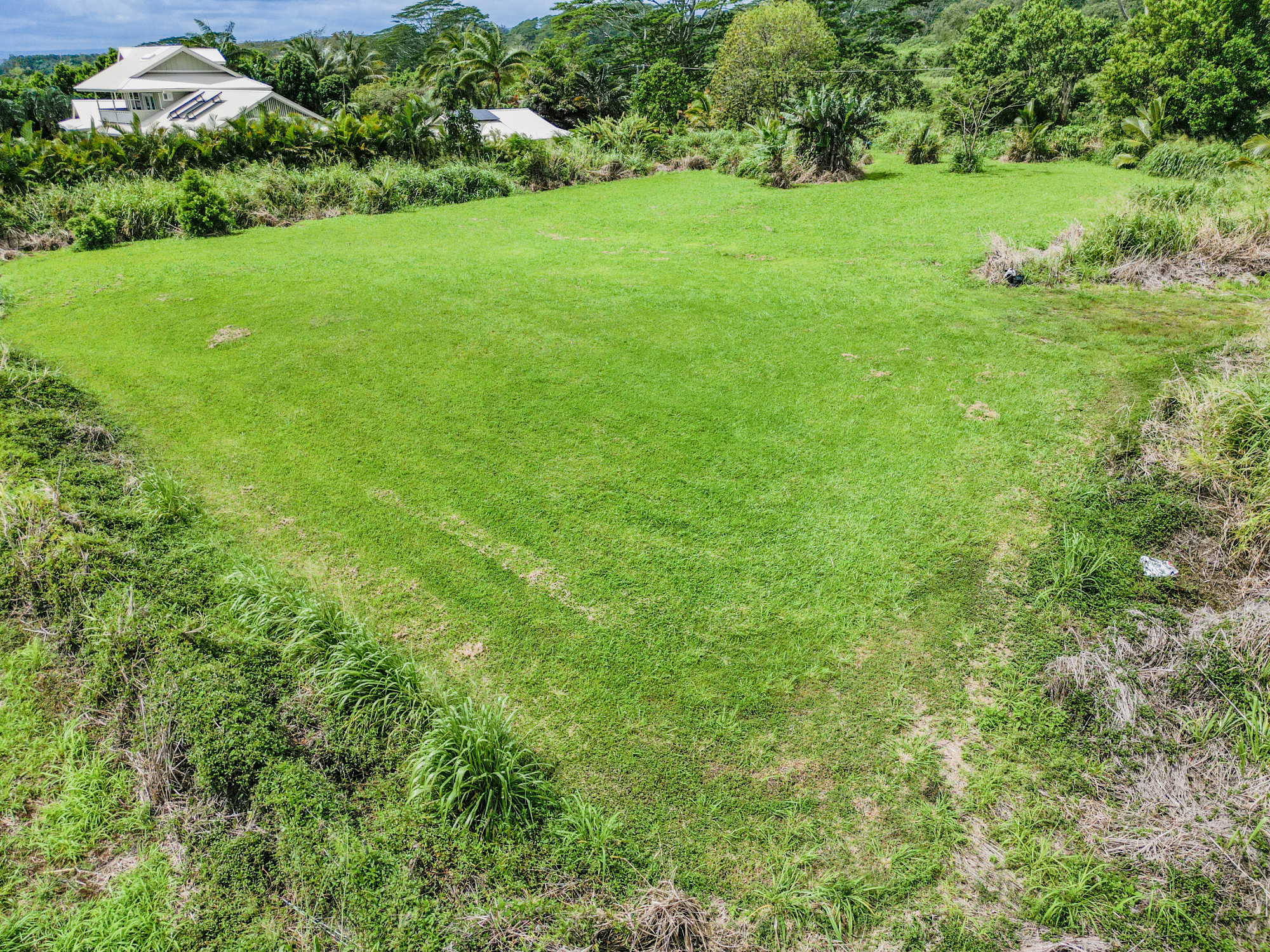 28-1168 Lot 73 Loa Road Pepeekeo, HI 96783 - Photo 13 of 28 a view of a green field with lots of bushes