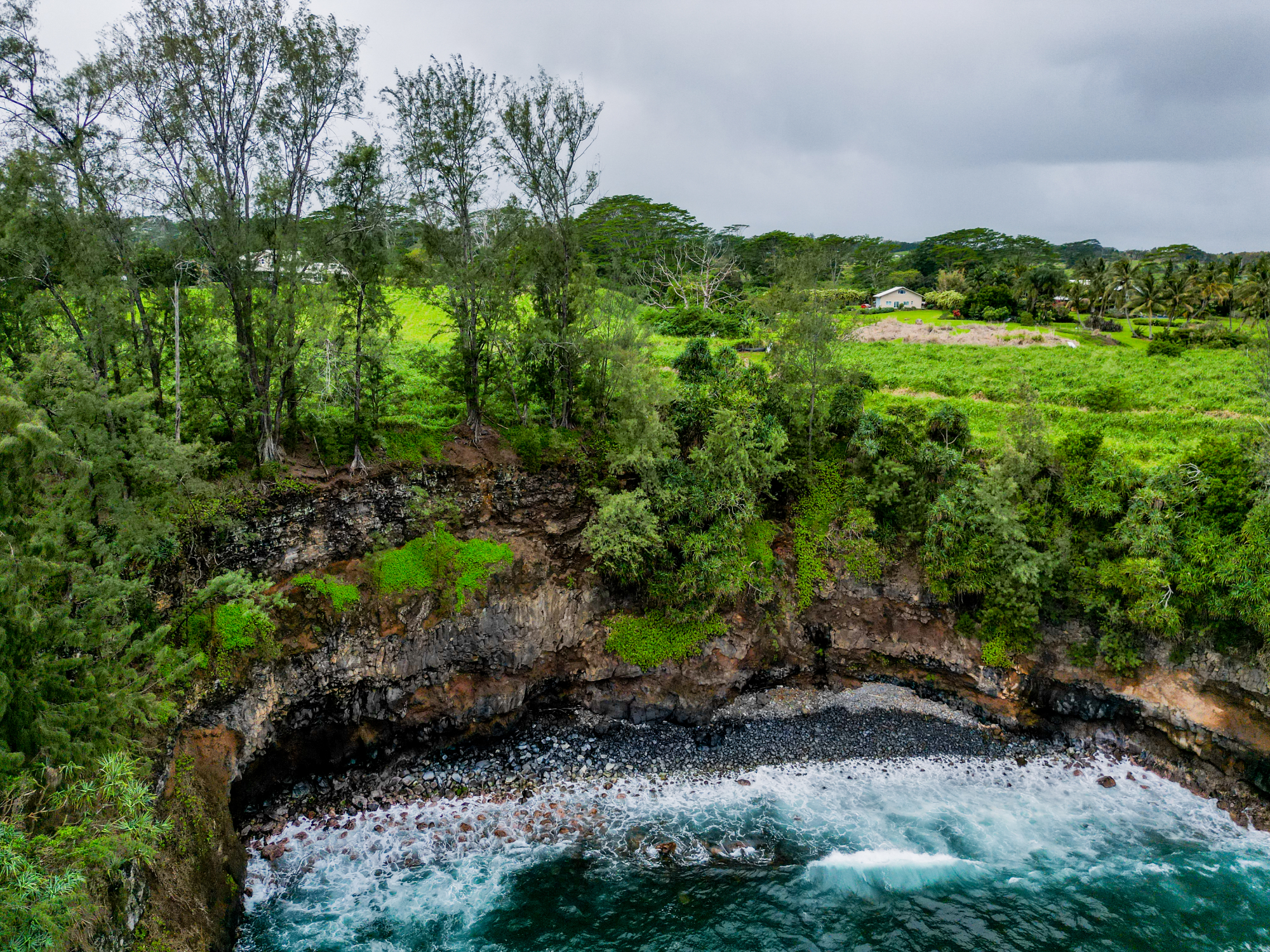 28-1168 Lot 73 Loa Road Pepeekeo, HI 96783 - Photo 15 of 28 a view of a lush green forest with lots of trees