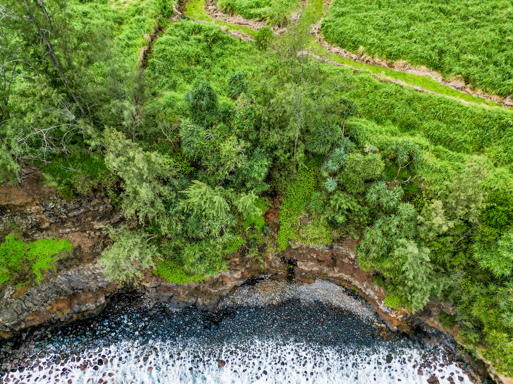 28-1168 Lot 73 Loa Road Pepeekeo, HI 96783 - Photo 18 of 28 a view of a large yard with lots of green space