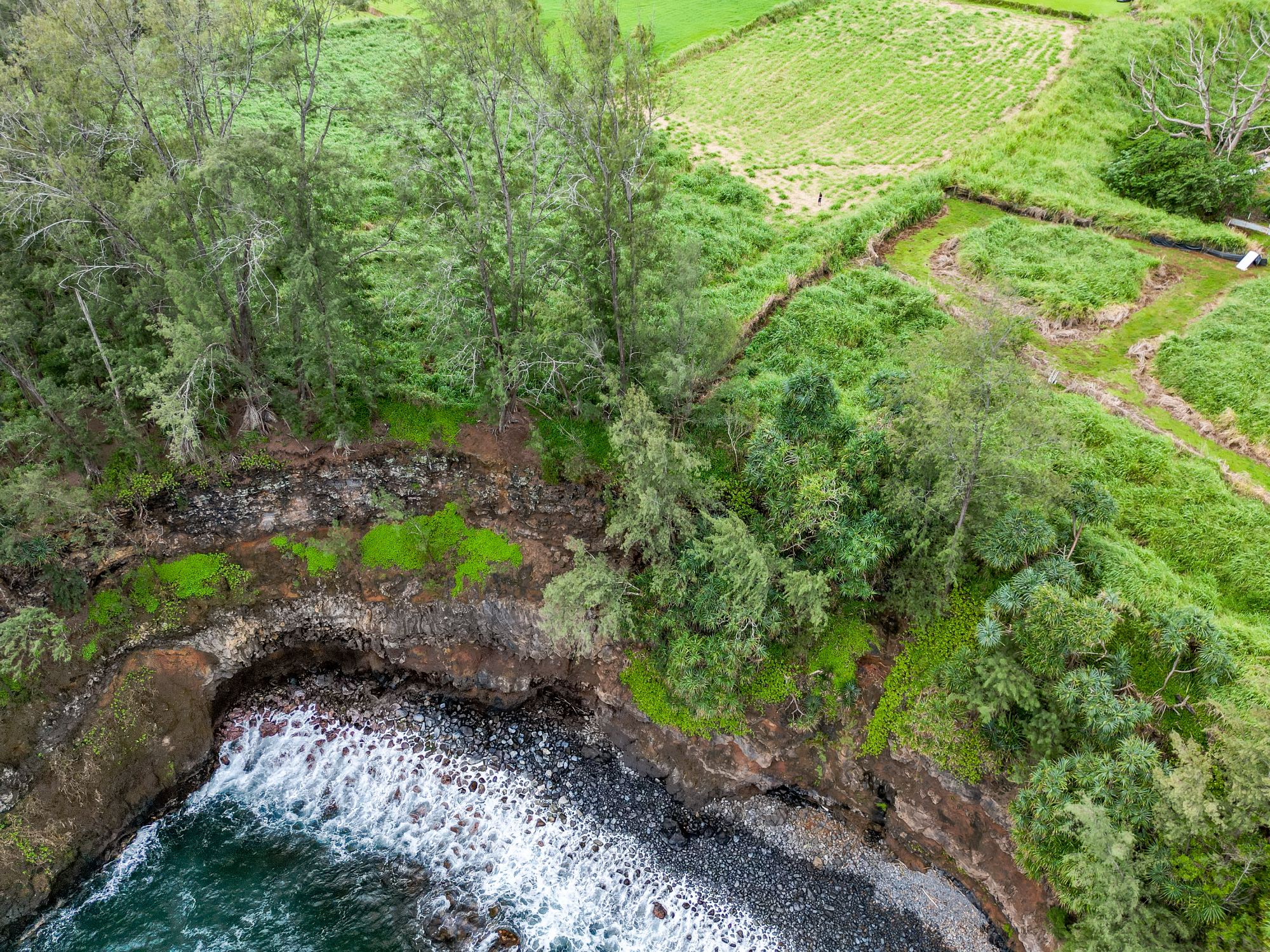 28-1168 Lot 73 Loa Road Pepeekeo, HI 96783 - Photo 2 of 28 a view of a large yard with lots of green space