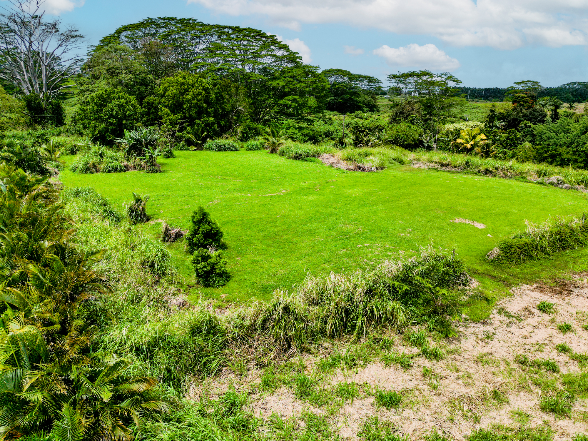 28-1168 Lot 73 Loa Road Pepeekeo, HI 96783 - Photo 22 of 28 a view of a garden with a building in the background