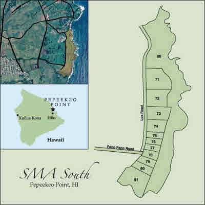 28-1168 Lot 73 Loa Road Pepeekeo, HI 96783 - Photo 24 of 28