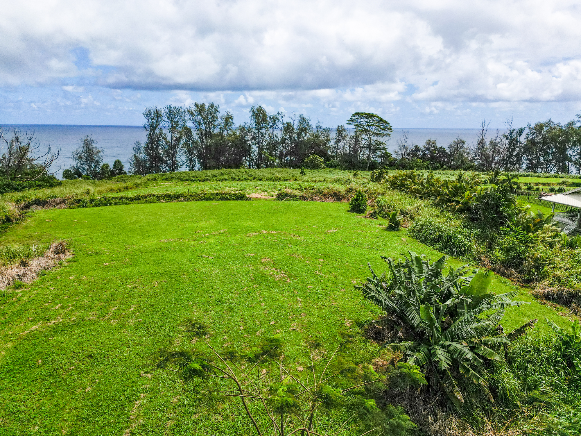 28-1168 Lot 73 Loa Road Pepeekeo, HI 96783 - Photo 4 of 28 front view of a golf course with houses