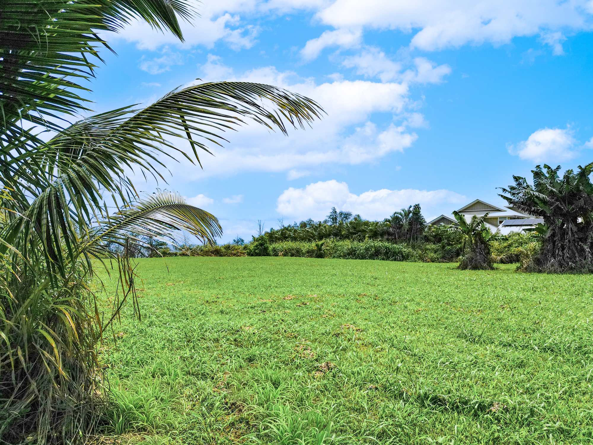 28-1168 Lot 73 Loa Road Pepeekeo, HI 96783 - Photo 9 of 28