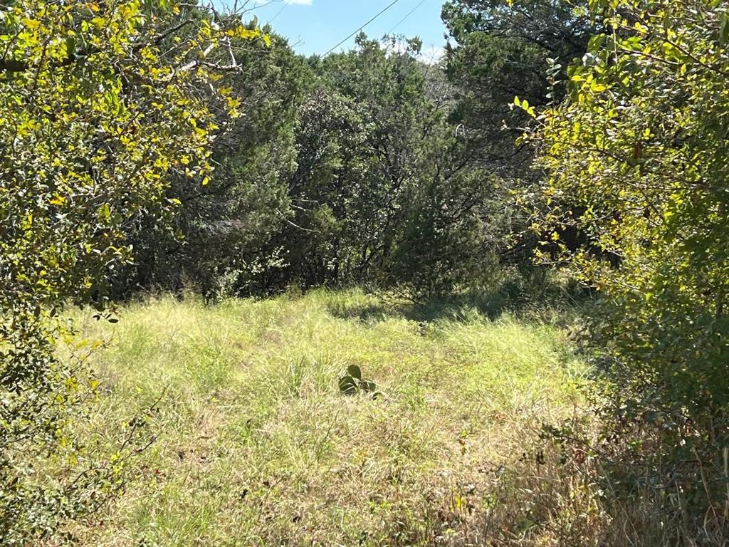 1701 Tbd County Road Clifton, TX 76634 - Photo 11 of 14 a view of yard from a yard