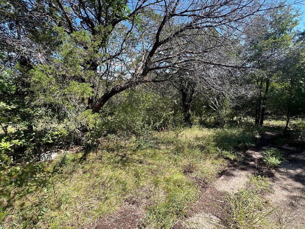 1701 Tbd County Road Clifton, TX 76634 - Photo 12 of 14 a view of a forest with lots of trees
