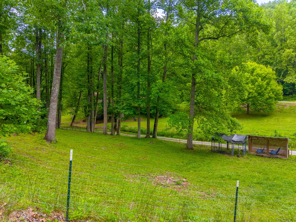 224 Cochrans Cr Road Robbinsville, NC 28771 - Photo 35 of 42