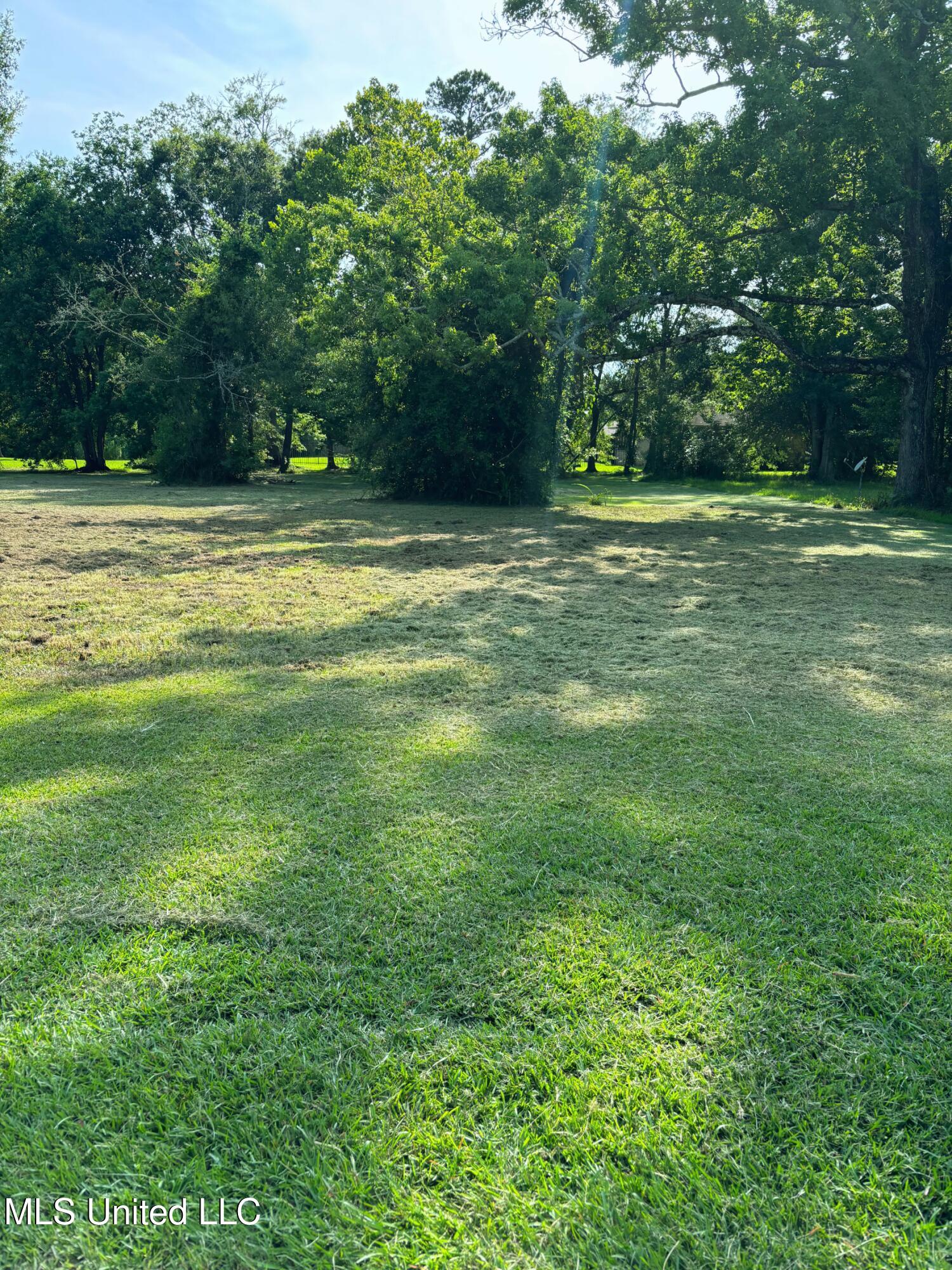 Untitled design (24)