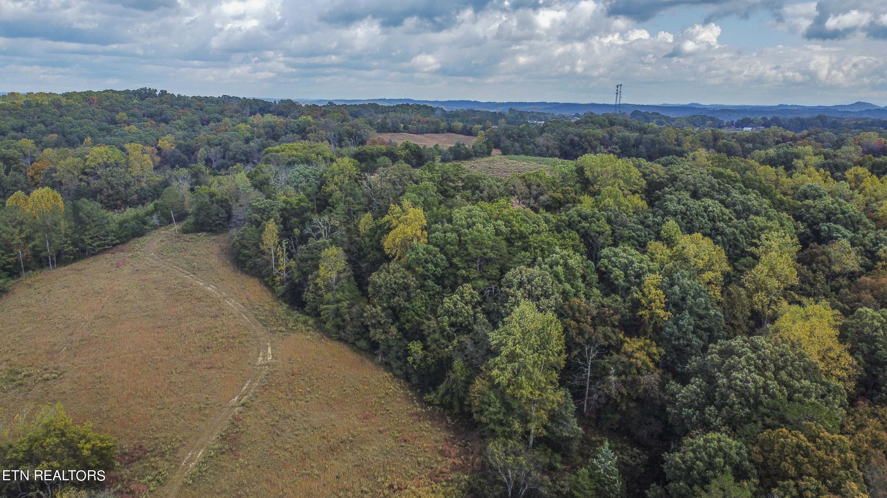 1564 Bishop Road Loudon, TN 37774 - Photo 1 of 13 1_1