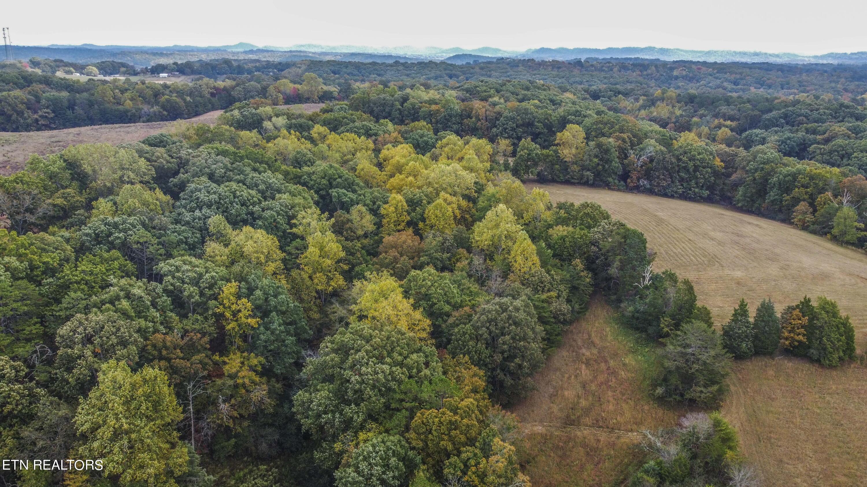 1564 Bishop Road Loudon, TN 37774 - Photo 12 of 13 23_1
