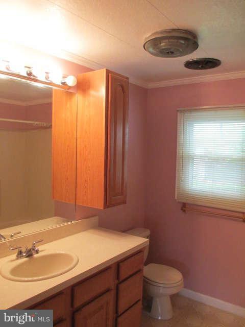 7301 Gunpowder Road Baltimore, MD 21220 - Photo 15 of 29 a bathroom with a sink a toilet and mirror