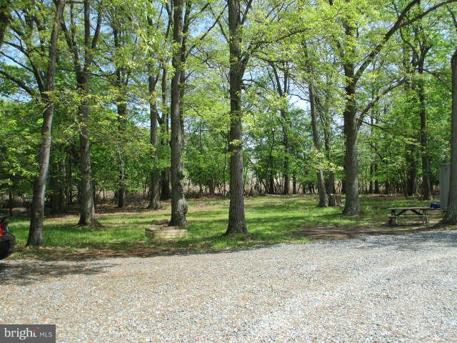 7301 Gunpowder Road Baltimore, MD 21220 - Photo 29 of 29 a view of a park with large trees