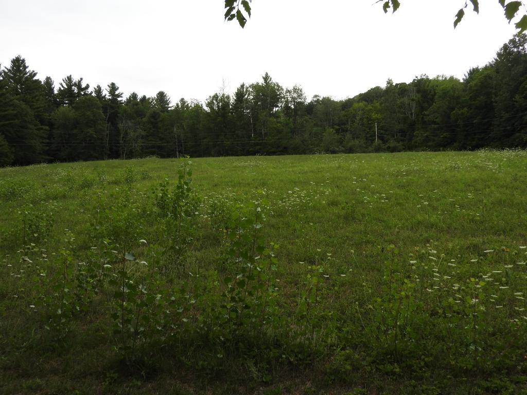 106 Duck Pond Road Weare, NH 03281 - Photo 32 of 32
