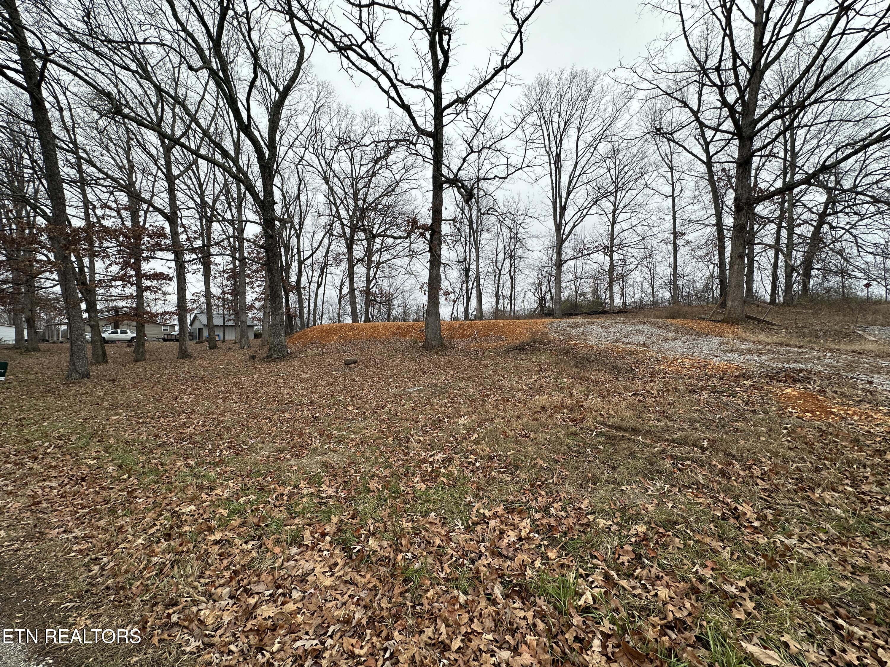 2100 Old Wolf River Road Jamestown, TN 38556 - Photo 1 of 9 78CE1808-91A4-4CFA-8F96-161AE4AFE61C