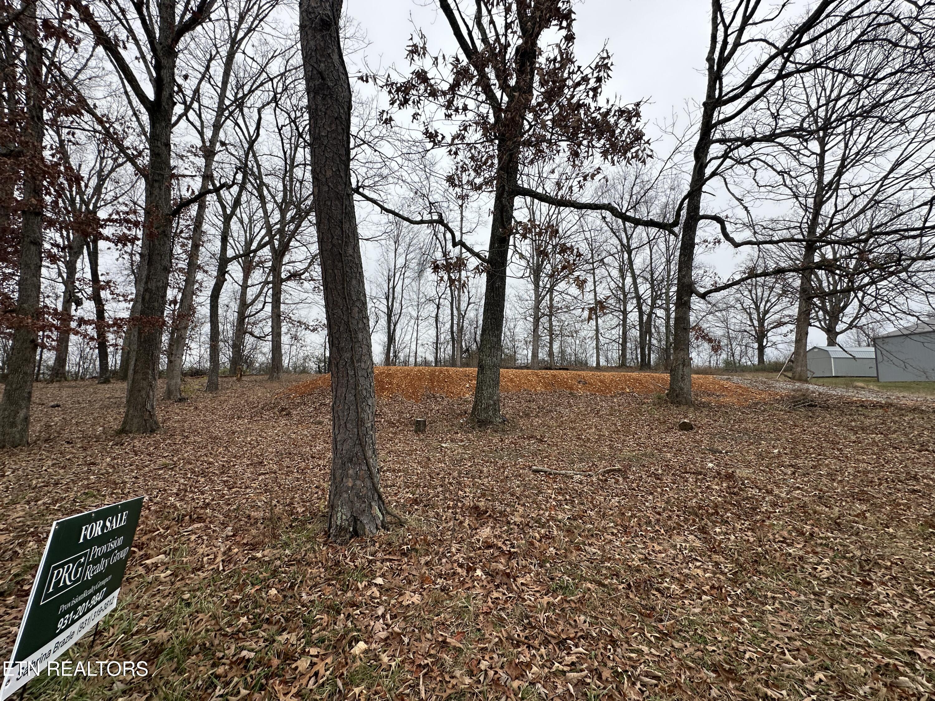 2100 Old Wolf River Road Jamestown, TN 38556 - Photo 2 of 9 D03F0365-CEC5-4D37-8350-9461E0C67E83