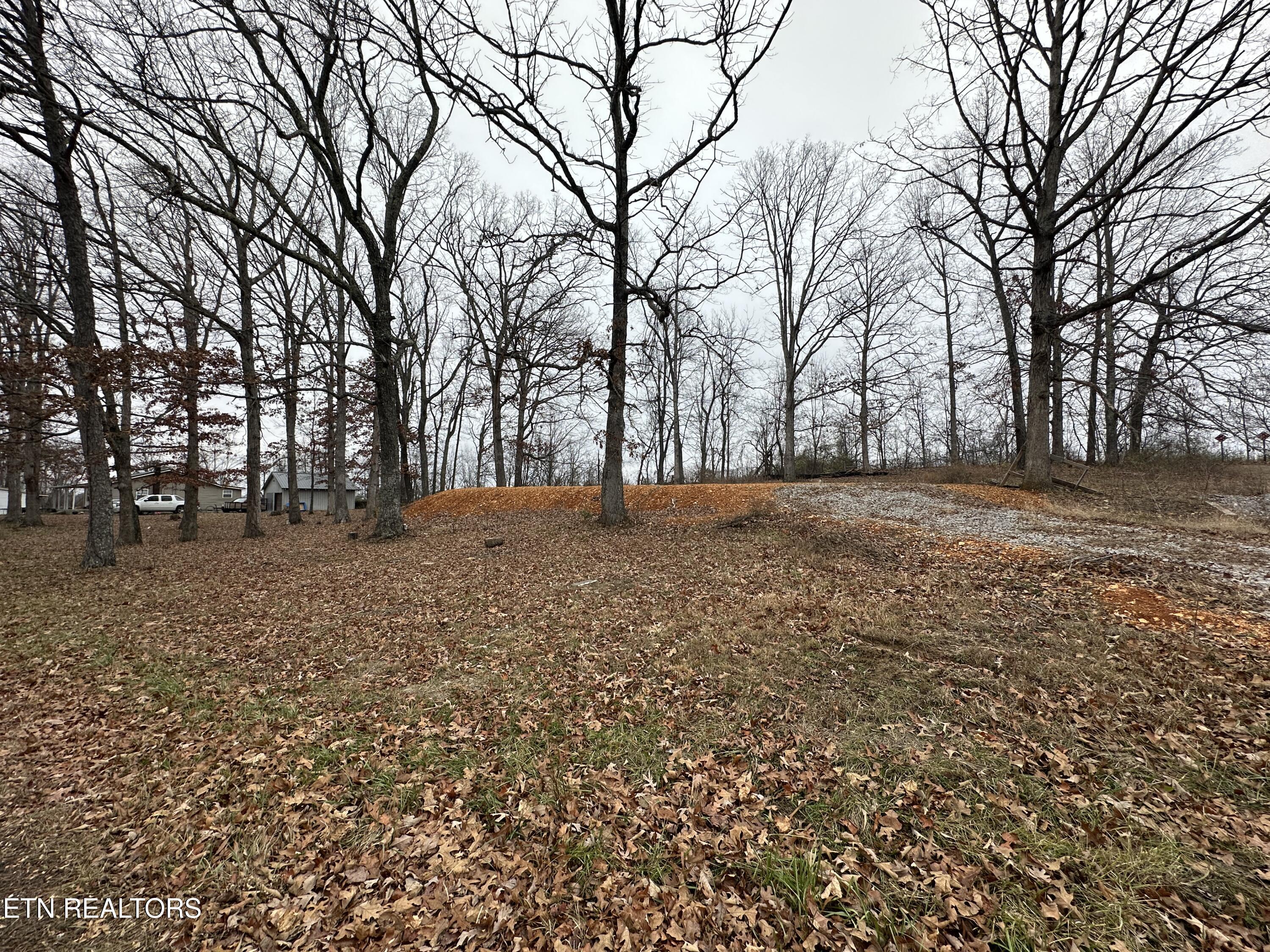 2100 Old Wolf River Road Jamestown, TN 38556 - Photo 4 of 9 8CA53707-2A52-4917-8FE6-5E2AD1283C54