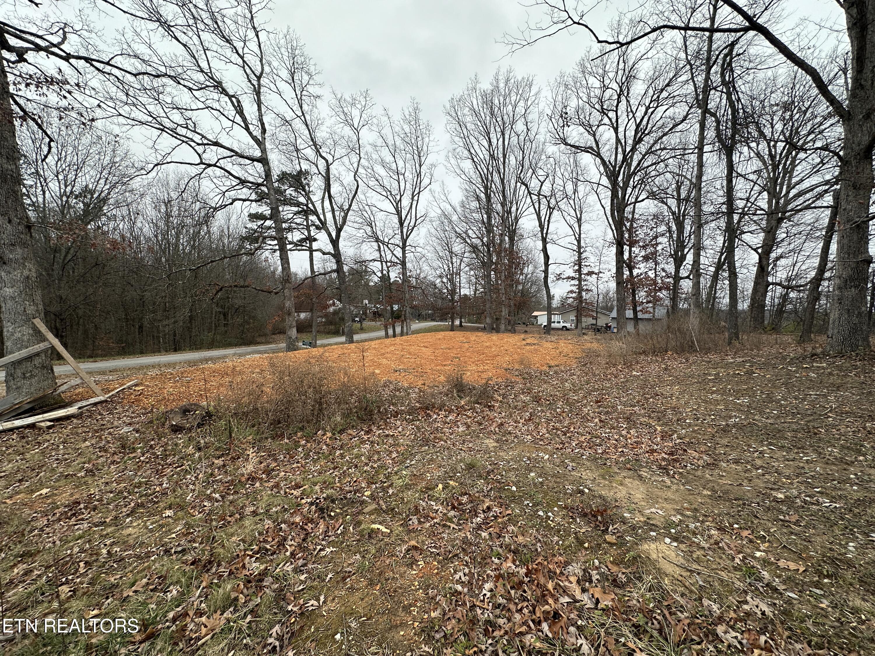 2100 Old Wolf River Road Jamestown, TN 38556 - Photo 7 of 9 B370C422-1077-4BE6-8F2C-72A90A32E157