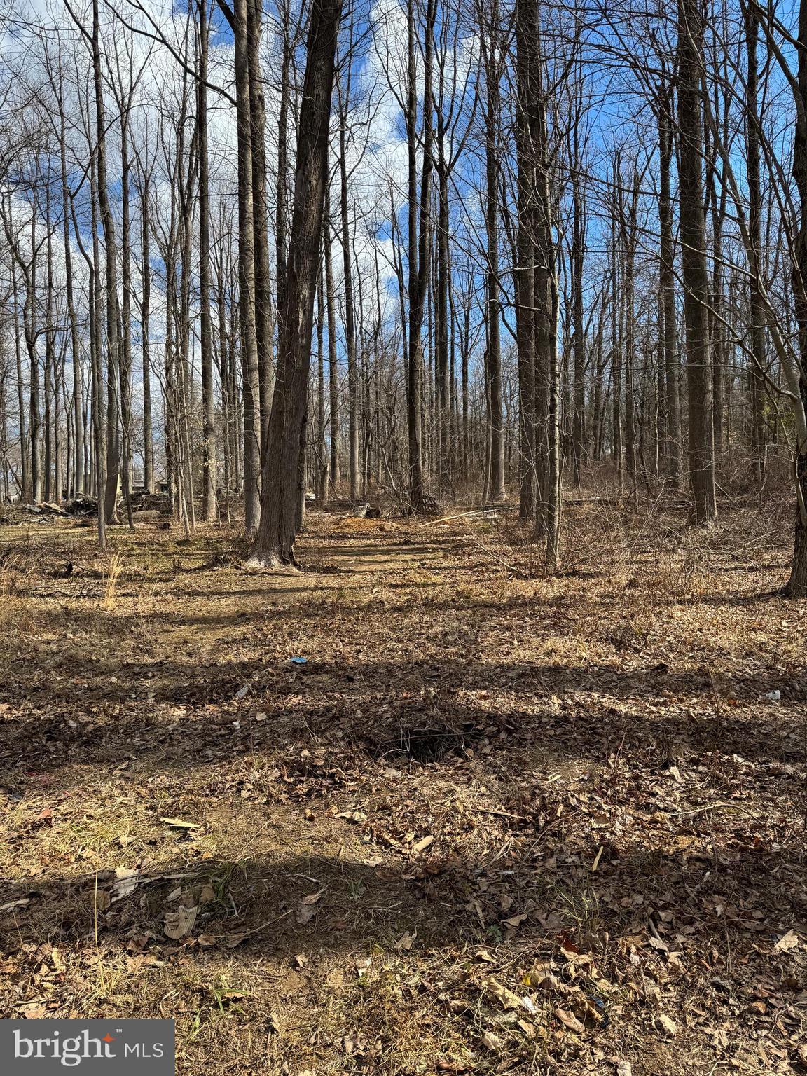 2355 Terwood Road Huntingdon Valley, PA 19006 - Photo 6 of 14 Backyard