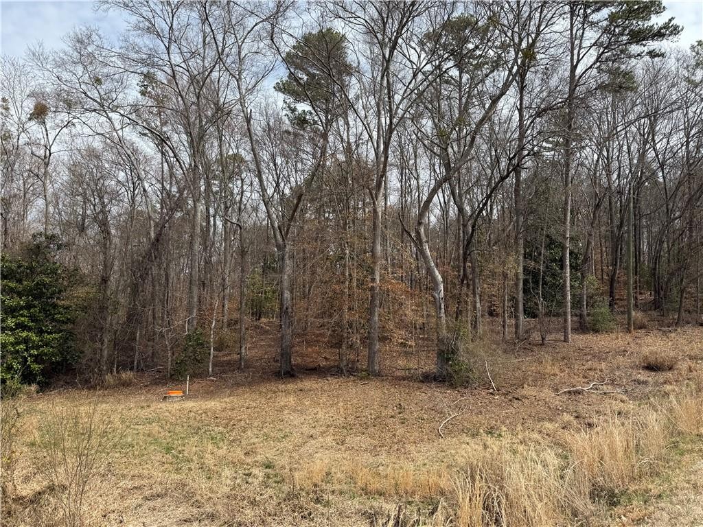 0 North Walnut Street Seneca, SC 29678 - Photo 7 of 12 A verdant canvas awaits, nestled amongst mature trees, offering privacy and natural beauty.
