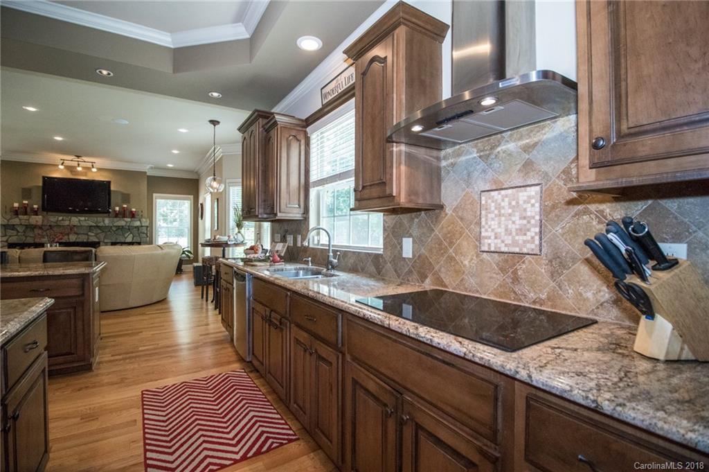 132 Webbed Foot Road Mooresville, NC 28117 - Photo 9 of 32 Gallery Image 9