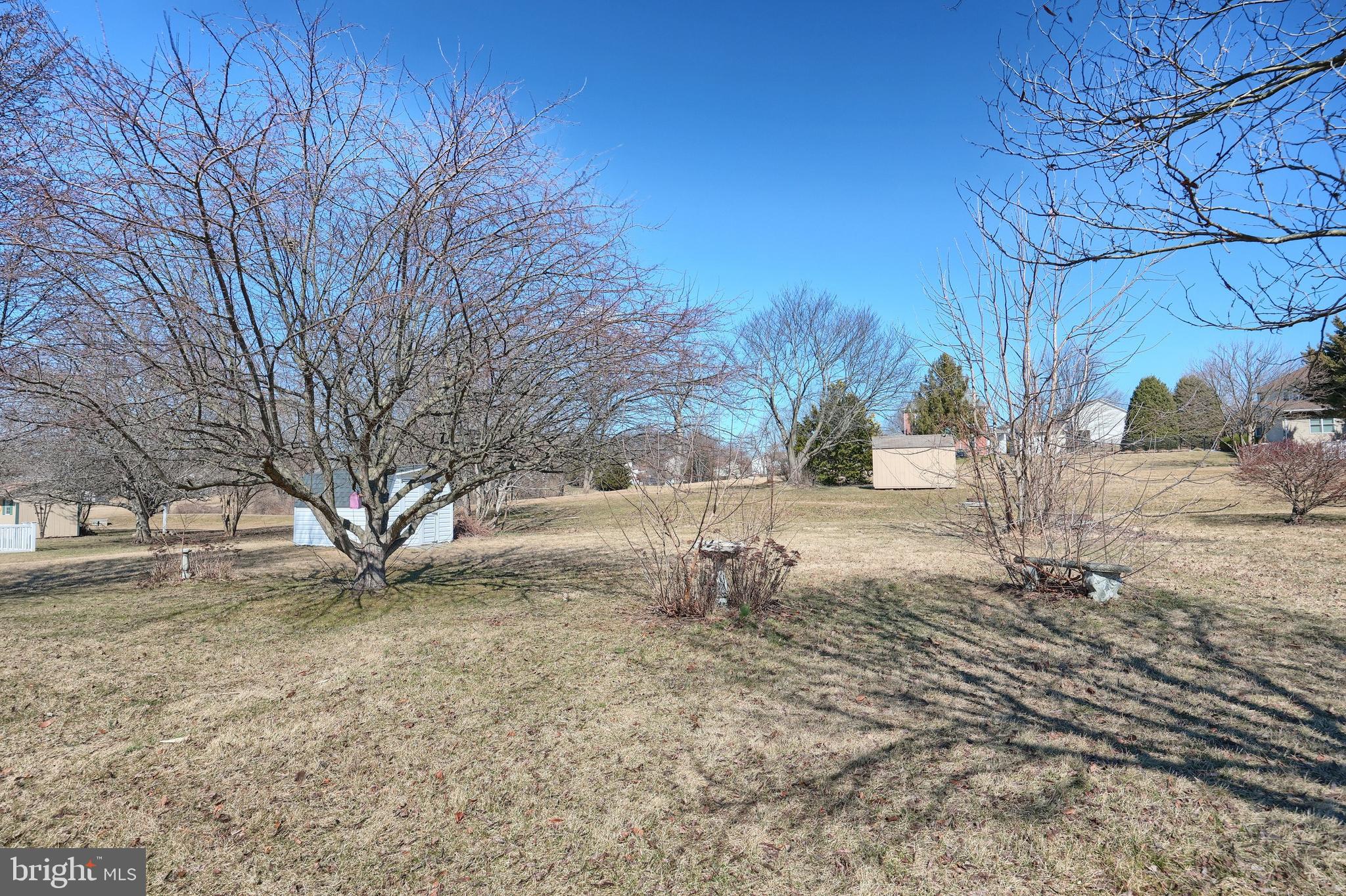 105 Wheaton Drive Littlestown, PA 17340 - Photo 29 of 39 a view of a yard with a tree