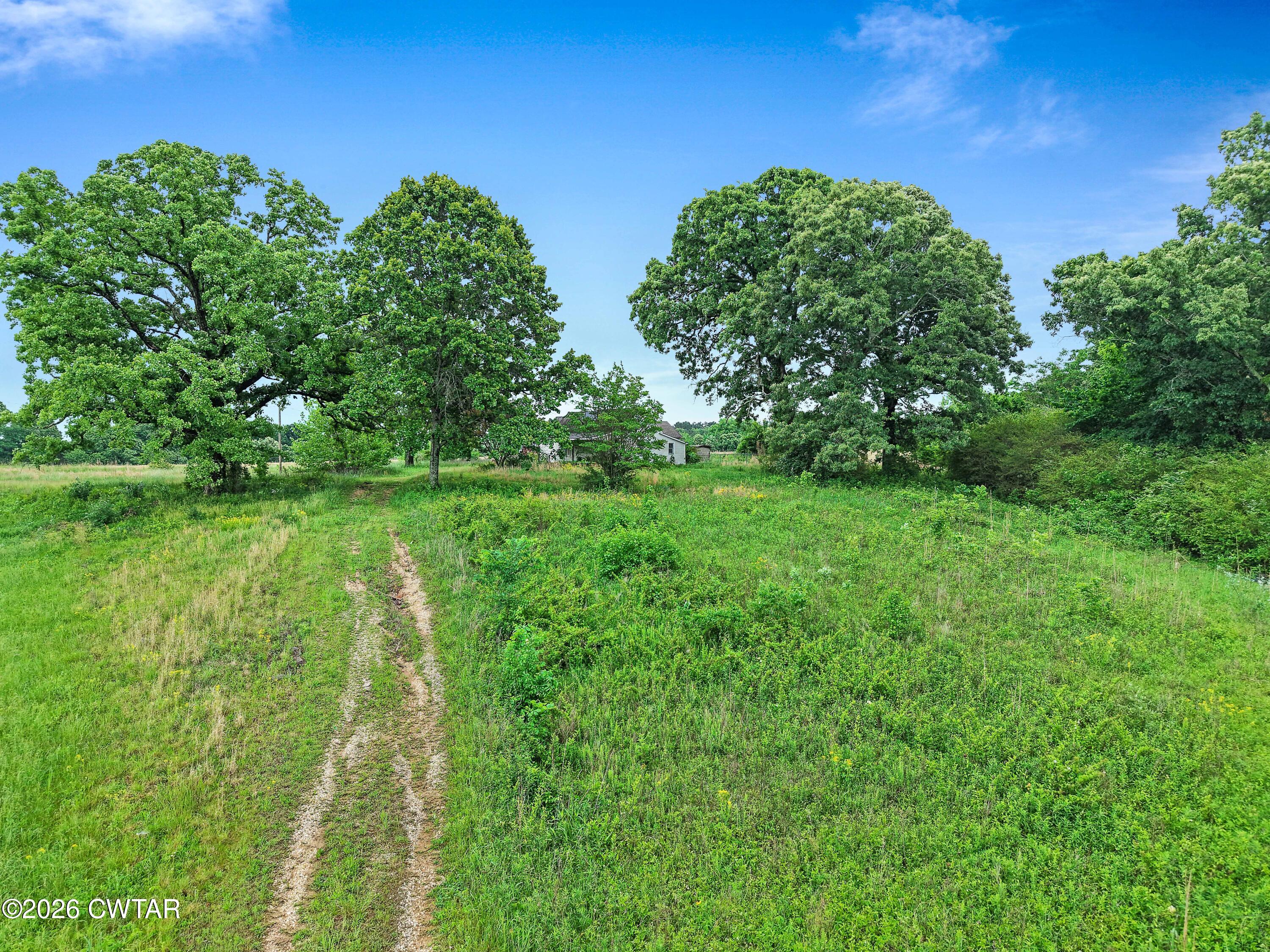 1525 Mill Creek Road Cedar Grove, TN 38321 - Photo 13 of 15 a backyard of a house with lots of green space