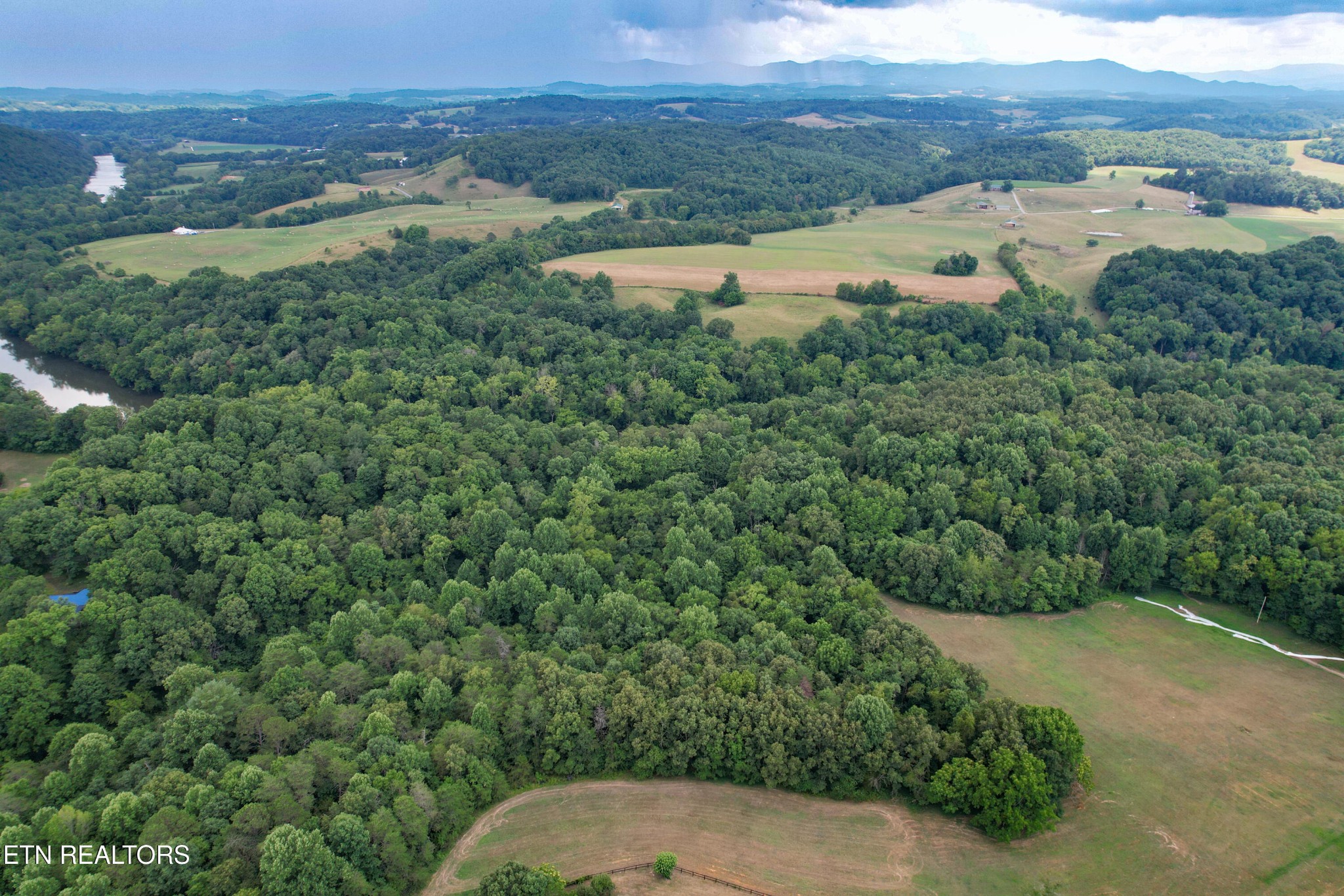 12 Pates Hill Road Mosheim, TN 37818 - Photo 5 of 14