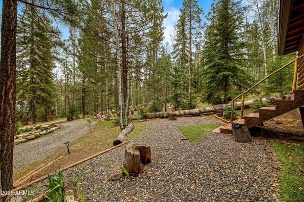 a view of yard with tree
