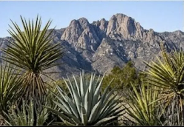$97,500 | 63330 Jeraboa Road, Mountain Center, CA 92561