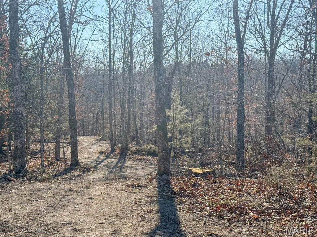 0 Ridge Road Sullivan, MO 63080 - Photo 6 of 6