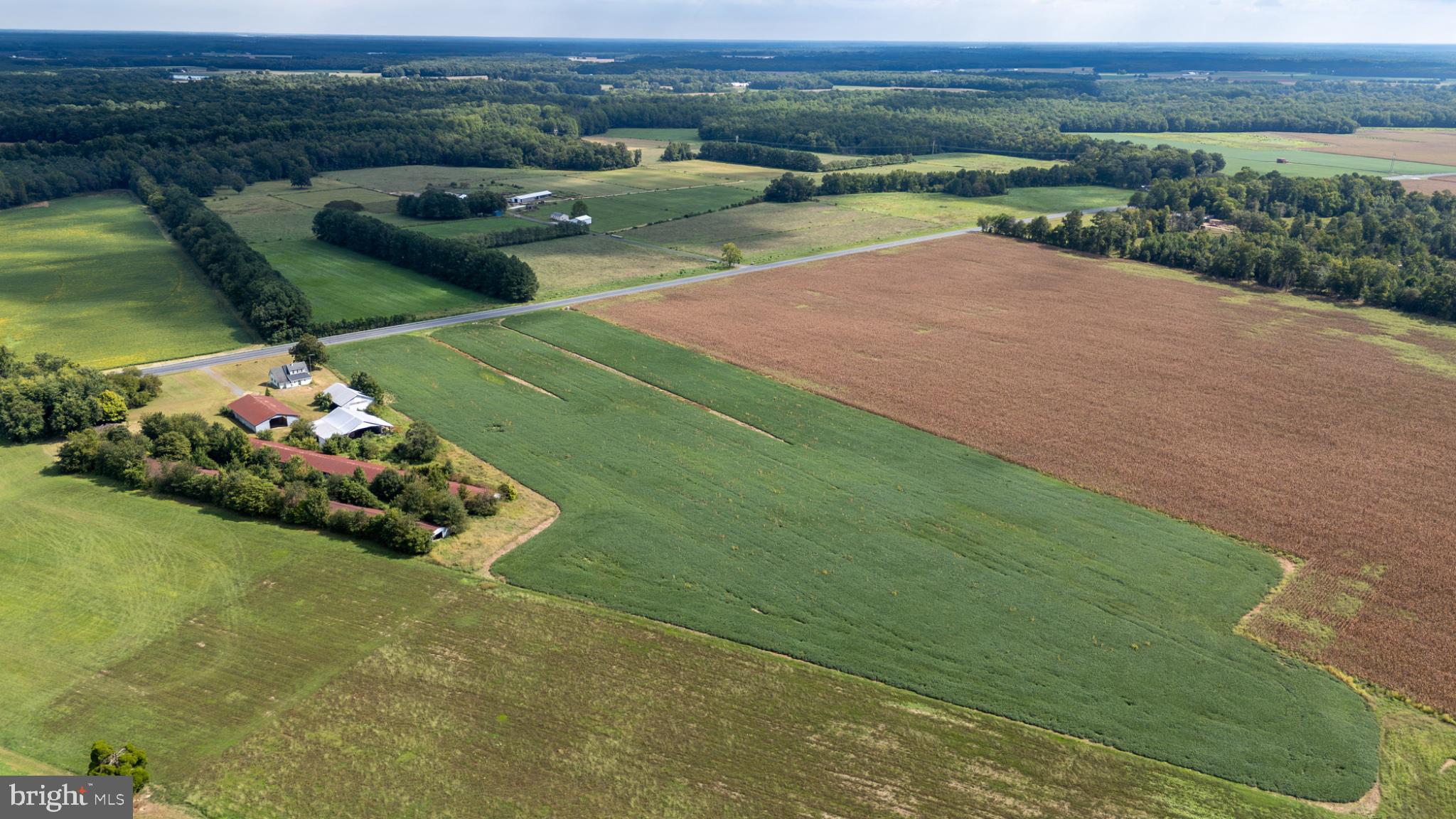 25699 Auction Road Federalsburg, MD 21632 - Photo 39 of 44 Gallery Image 39