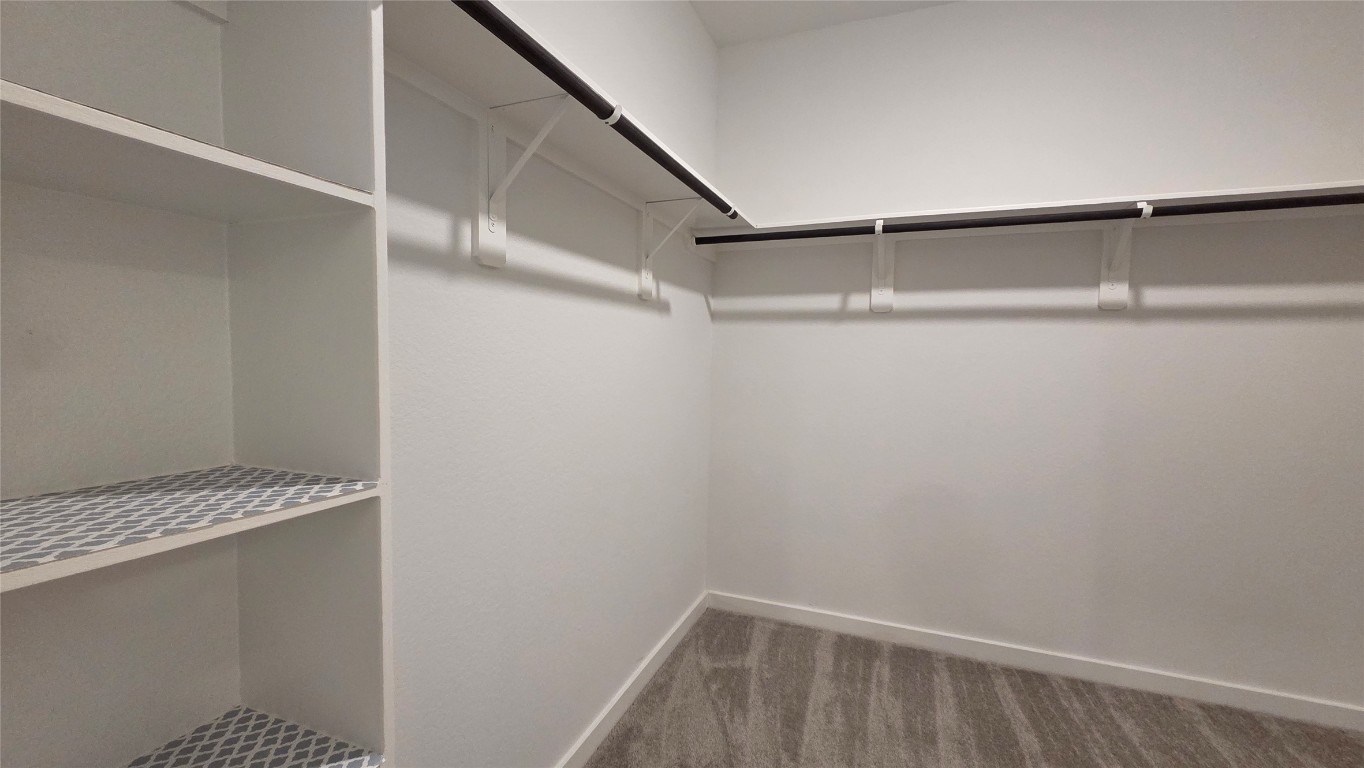 1015 Thor Roman Forest, TX 77357 - Photo 9 of 15 a view of closet