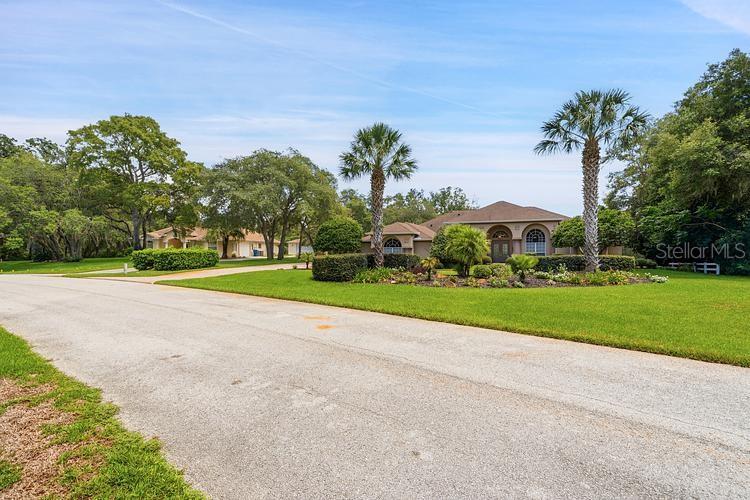 10470 Ramble Ridge Court Weeki Wachee, FL 34613 - Photo 7 of 44