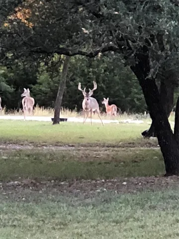 $325,000 | 131 County Road 1544, Morgan, TX 76671