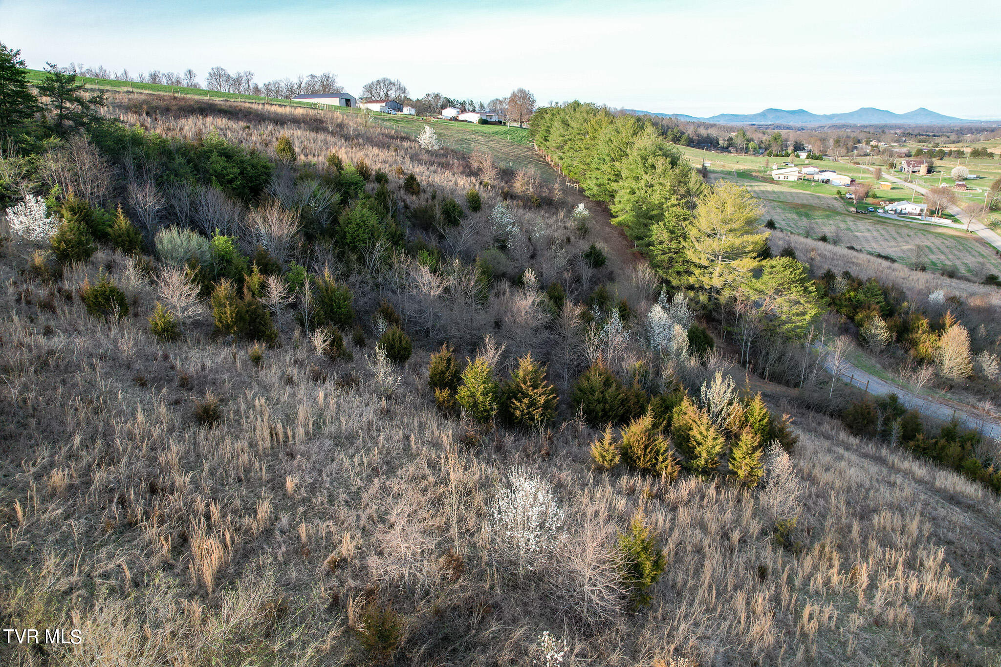 0 Brown Springs Road, Unit 6 Greeneville, TN 37743 - Photo 17 of 23 DJI_0938