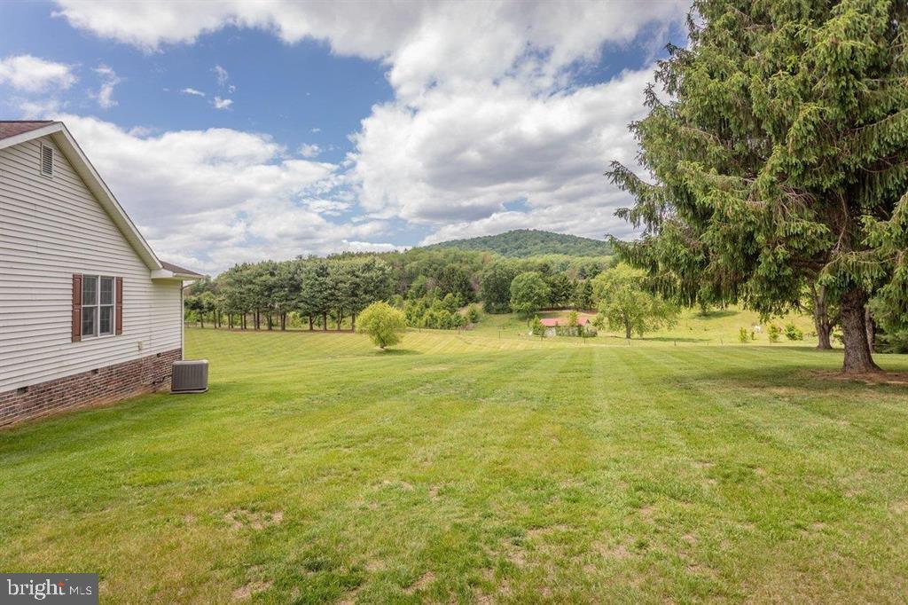 2220 Pine Woods Road Quicksburg, VA 22847 - Photo 5 of 55