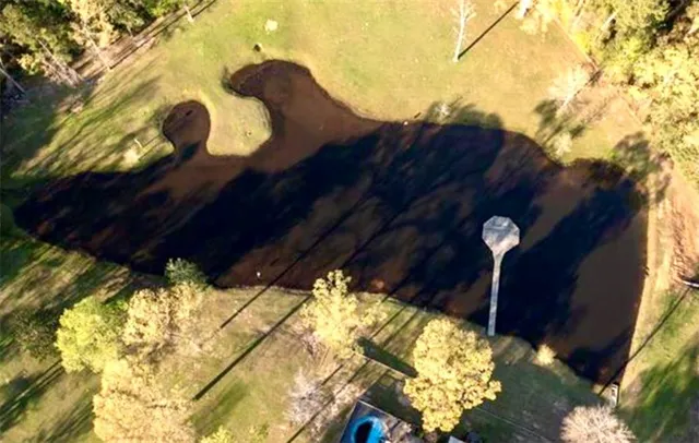 $549,000 | 198 Buck Glenn Road, Dry Prong, LA 71423