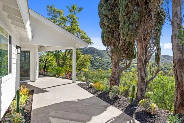 a view of a mountain range with trees in the background