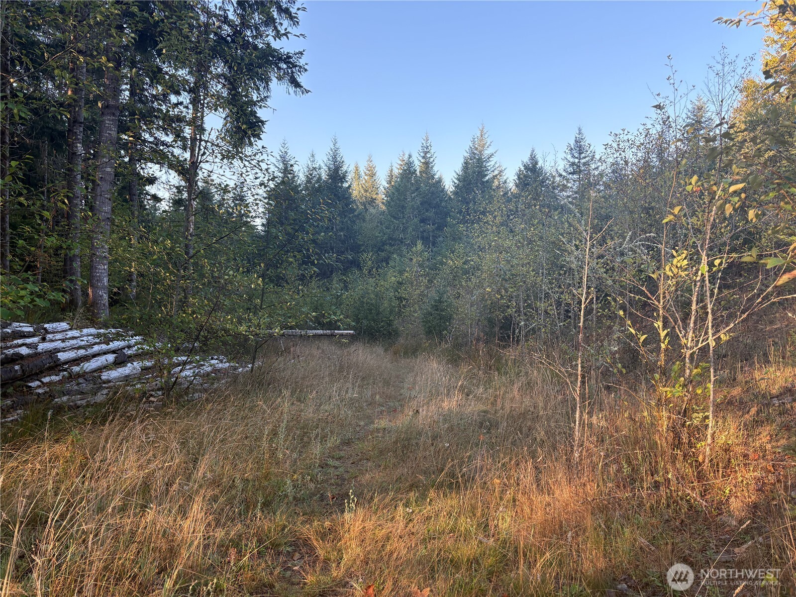 -nka Frank Smith Road Toutle, WA 98649 - Photo 11 of 19 Gallery Image 11